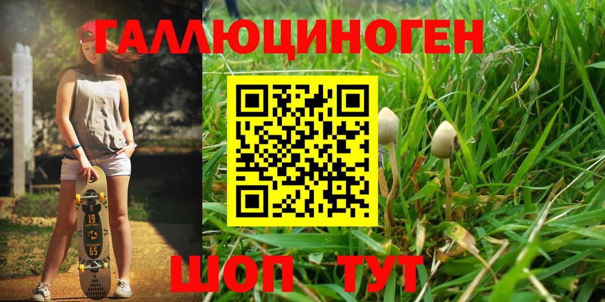 Галлюциногенные грибы Magic Shrooms Добрянка